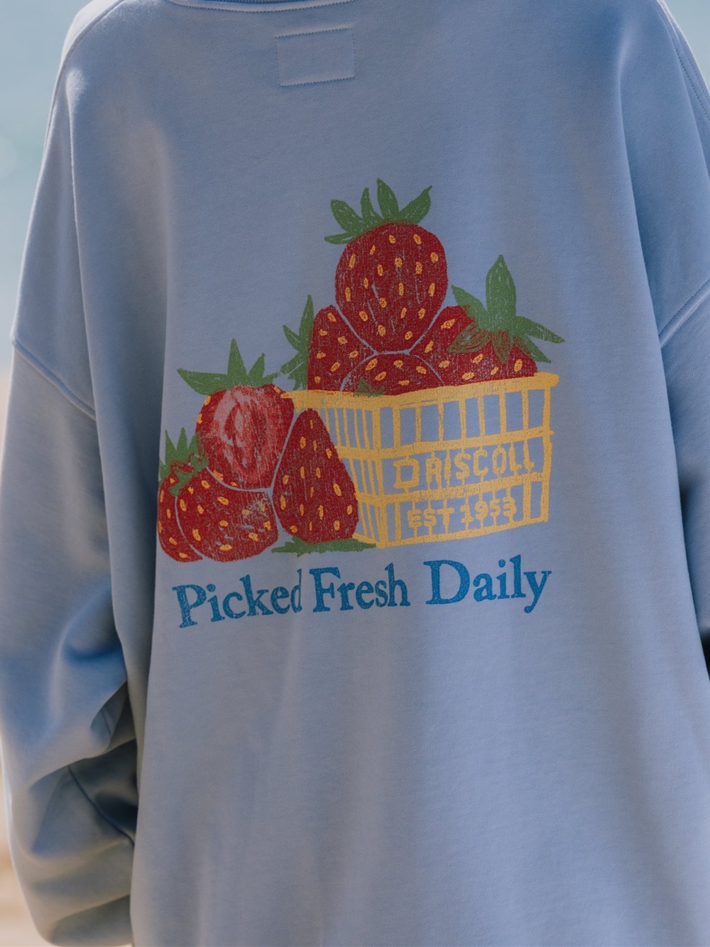 Daily Drills x Driscoll's Oversized Picked Fresh Strawberry Sweatshirt M/L NWT - Picture 5 of 6